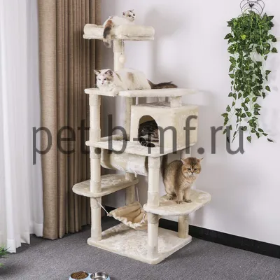 Мебель для кошек своими руками. 12 крутых идей дизайнерской мебель для  домашних животных с видео