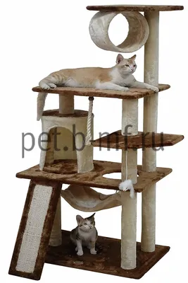 Домик для кошки с когтеточкой \"Комфорт два домика +гамак \" игровой комплекс  для нескольких кошек с лежаком, с гамаком, с игрушкой - купить с доставкой  по выгодным ценам в интернет-магазине OZON (181313694)