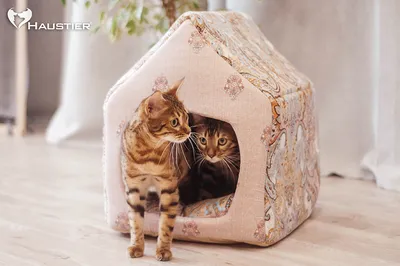 Домики для кошек – купить кошачий домик на OZON по низкой цене