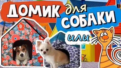 Домик для собаки своими руками сшить (73 фото) - картинки sobakovod.club
