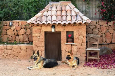 Пошив собачьего домика-палатки собственноручно по пошаговой инструкции