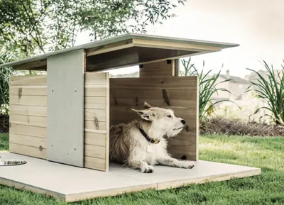 Как сделать домик для собаки?
