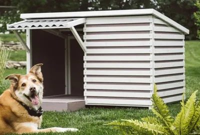 Строим САМИ - Будка для собаки своими руками | Facebook