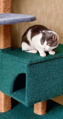 Как сделать домик для кота своими руками в домашних условиях