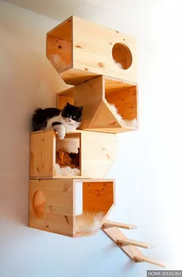 домик для кошки из фанеры, чертежи Уют-15С с доставкой по Москве недорого |  ycatuk.ru
