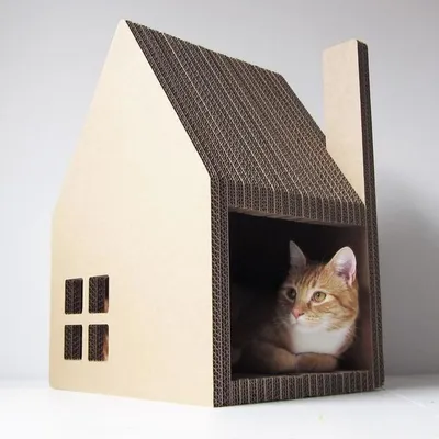 Домик для кота своими руками из подручных материалов - картинки и фото  koshka.top