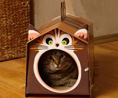 Когтеточка-домик для кошки | Пикабу