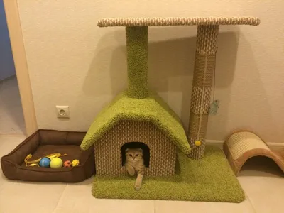 Дом для кота своими руками (фото)