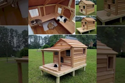 Как выбрать деревянный домик для собак | Интернет-магазин Чудошоп | Дзен