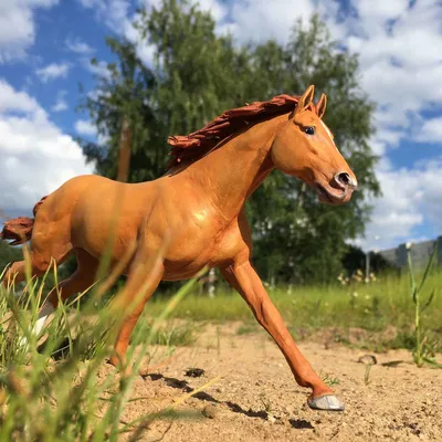 Донская лошадь - ePuzzle фотоголоволомка