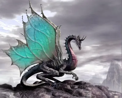Потрясающие фото дракона - скачайте подходящий размер