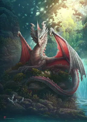 Фото дракона в формате webp - удивительно красивые фоны