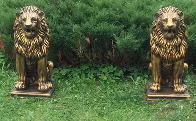 два льва стоят в чистом поле, картинка льва самец и самка, лев, животное  фон картинки и Фото для бесплатной загрузки