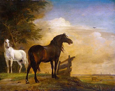 Две красивые лошади позируют вместе летом Стоковое Изображение -  изображение насчитывающей сильно, лошадь: 157214357