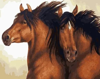 две лошади стоят возле высокой травы, картинка чалых лошадей, лошадь,  животное фон картинки и Фото для бесплатной загрузки