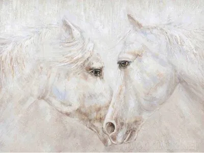 Фотообои Две лошади на лугу артикул Anm-199 купить в Оренбург|;|9 |  интернет-магазин ArtFresco