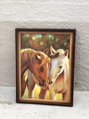 Настенная картина на холсте Две лошади Черная и белая на жёлтом поле 60х40  (ID#821613966), цена: 562.25 ₴, купить на Prom.ua