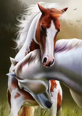 Картина по номерам Белые лошади 2, Идейка, KH2433 - описание, отзывы,  продажа | CultMall
