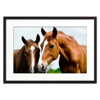 Картина маслом \"Две лошади\" — В интерьер