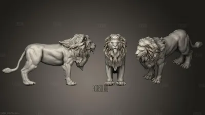 Скачать 1280x1280 лев, львица, хищник, лежит, взгляд обои, картинки ipad,  ipad 2, ipad mini for parallax