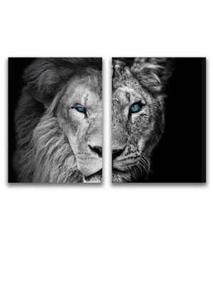 2 Льва седят на поле» — создано в Шедевруме