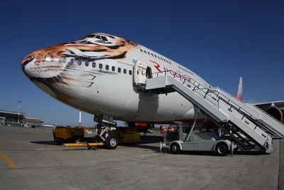 6 декабря: самый большой в мире самолет впервые совершит посадку в  Бен-Гурионе