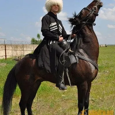 джигит на коне фото: 7 тыс изображений найдено в Яндекс.Картинках | Лошади,  История, Этнические наряды