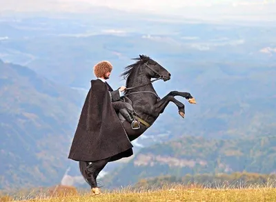 Джигит на коне (72 лучших фото)
