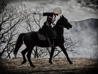 Горец на коне (30 фото) | Беовульф, Грузия, Конный туризм