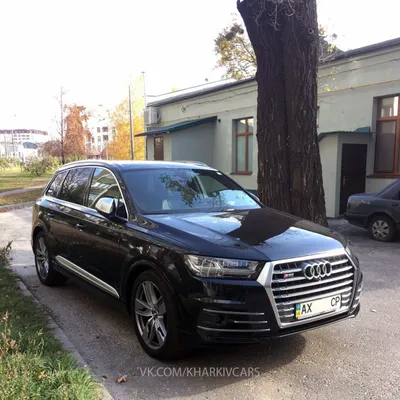 Брутальный внедорожник - Отзыв владельца автомобиля Audi Q7 2016 года ( II  (4M) ): 3.0d AT (249 л.с.) 4WD | Авто.ру