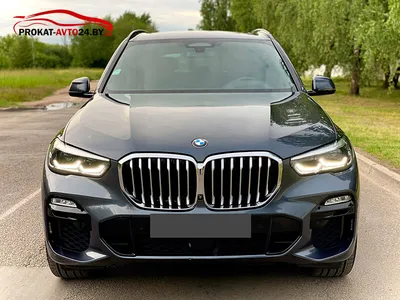 Купить Джип радиоуправляемый BMW X5 1:14 (светодиоды, аккум., 35 см,  лицензия БМВ)