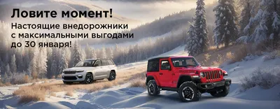 AUTO.RIA – Продажа Джип бу в Украине: купить подержанные Jeep с пробегом