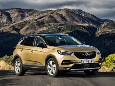 Opel Monterey — плюсы и минусы автомобиля - Рамблер/авто