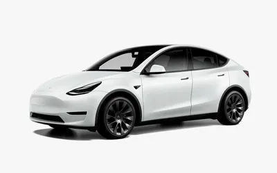 Кроссовер Tesla Model Y получил самую доступную версию :: Autonews