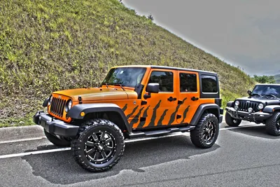 Car Effex - The Real Tiger King 🐯👑 Jeep Gladiator custom... | Facebook