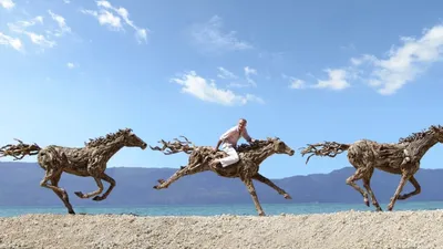 Серая скаковая лошадь герцога Гамильтона \"Победоносная\" в Ньюмаркете  (картина) — Джон Вуттон
