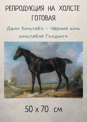 Купить картину Белая лошадь , Констебль, Джон в Украине | Фото и  репродукция картины на холсте в интернет магазине Макросвит