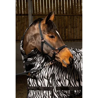 Pin by Jojo ♡ on Tierbilder | Horse wallpaper, Horses, Horse breeds