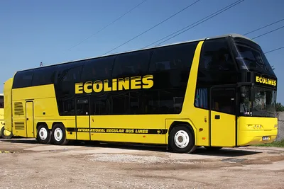 Знакомство с международными автобусными линиями \"ECOLINES\"