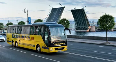 https://buyingbusinesstravel.com.ru/news/nazemnyy-transport/ecolines-nachnet-vypolnyat-avtobusnye-reysy-iz-sankt-peterburga-v-rigu/