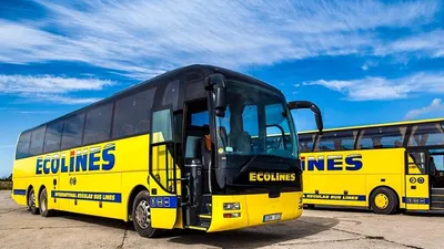 Международные автобусы Ecolines - «Замечательно» | отзывы