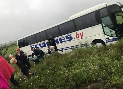 Рейсовый автобус съехал в кювет в Эстонии – пострадала россиянка -  29.12.2019, Sputnik Беларусь