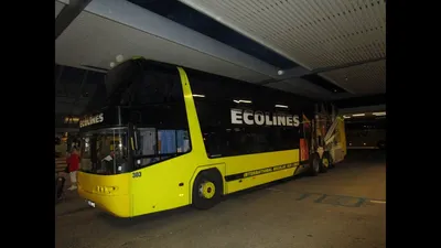 Автобус компании ECOLINES съехал в кювет по дороге из Минска в Одессу -  Республиканский союз туристических организаций