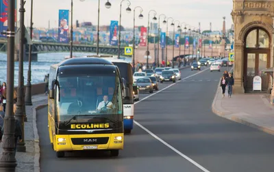 Автобусная фирма Ecolines возобновляет рейсы между странами Балтии