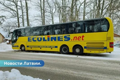 В конце июня восстанавливается регулярное автобусное сообщение между  Финляндией и Россией | Yle