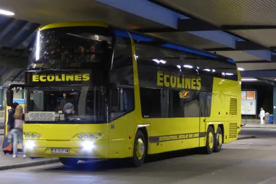 Ecolines официально приостановила автобусные рейсы из России в Финляндию |  Go Travel