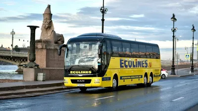 Билеты на автобусы ECOLINES со скидкой 80%: Берлин, Вроцлав, Прага и  Познань • Trip by plane