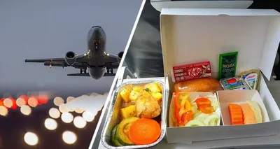 Стюардесса рассказала, почему еда в самолете невкусная, дав советы туристам  | Туристические новости от Турпрома