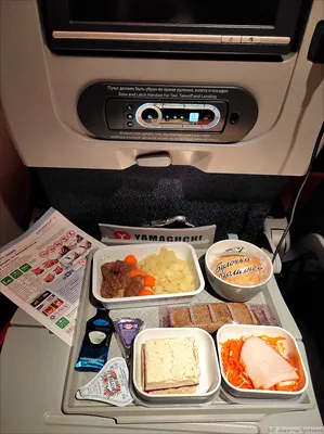 Культ еды в самолёте: SVO-PKC-SVO | Блог авиационного фотографа | Дзен