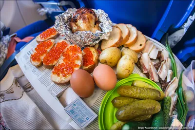 Каждый второй россиянин берет с собой еду в самолет. Как ее пронести. —  FrequentFlyers.ru